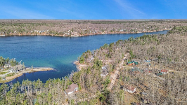 bird's eye view with a water view and a wooded view
