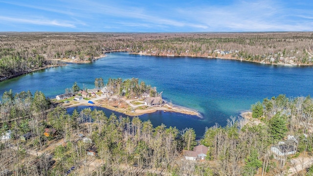 birds eye view of property with a water view and a view of trees