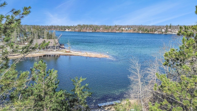view of water feature