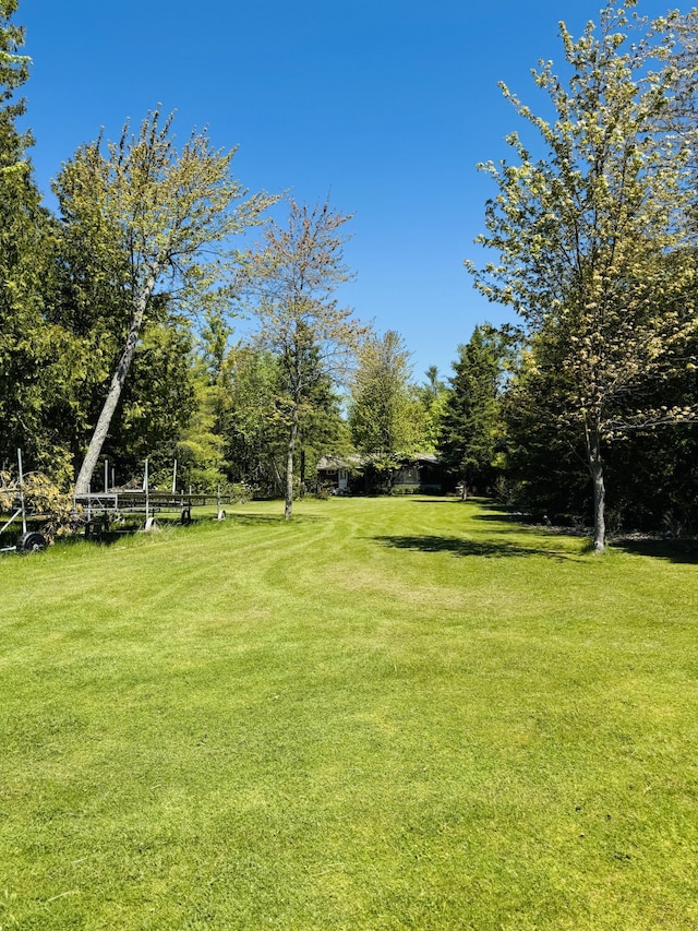 17745 Shubert Hwy, Alpena, MI 49707 - view of green lawn