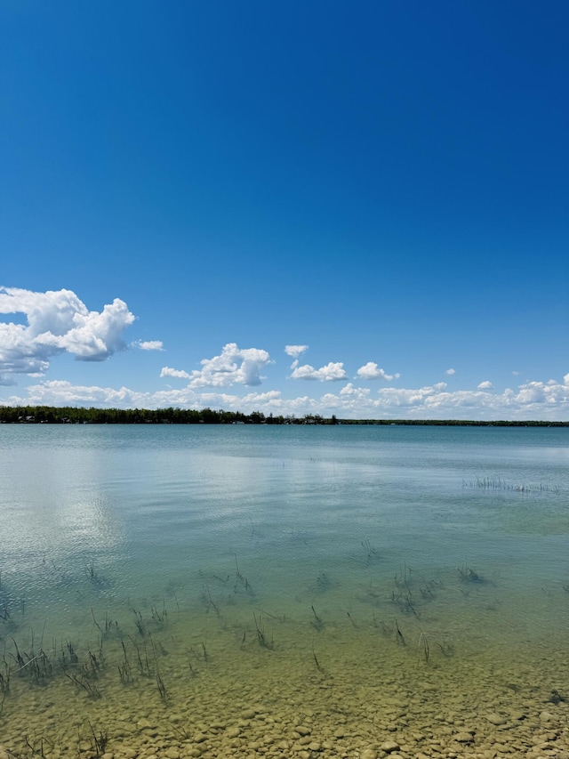 17745 Shubert Hwy, Alpena, MI 49707 - water view