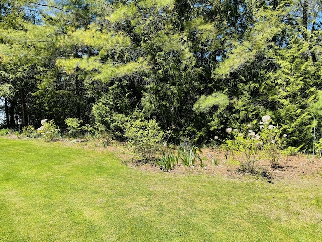 17745 Shubert Hwy, Alpena, MI 49707 - view of grassy yard