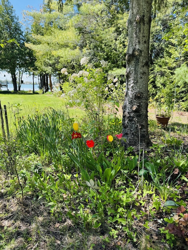 17745 Shubert Hwy, Alpena, MI 49707 - view of yard featuring a water view