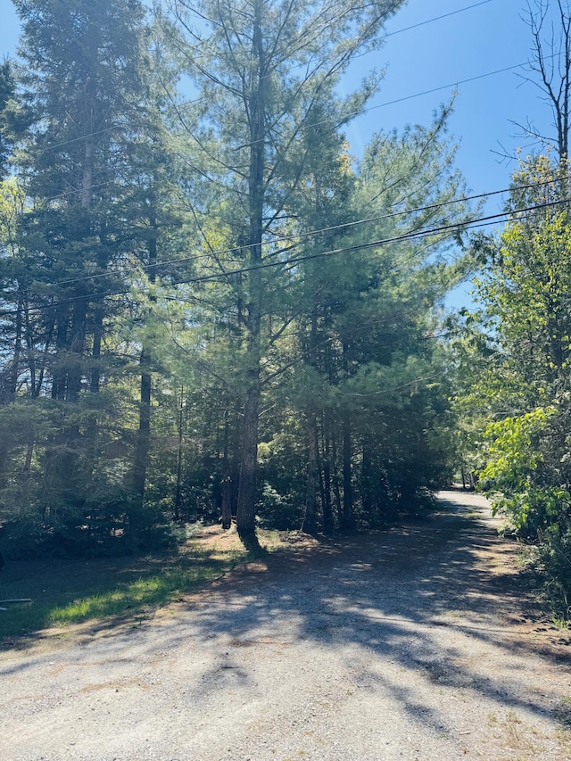 17745 Shubert Hwy, Alpena, MI 49707 - view of road