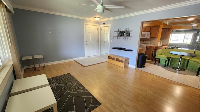 interior space with baseboards, ceiling fan, light wood-style floors, and crown molding