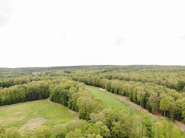 1975 Clubhouse Dr, Harbor Springs, MI 49740