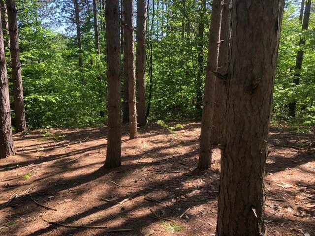 1975 Clubhouse Dr, Harbor Springs, MI 49740