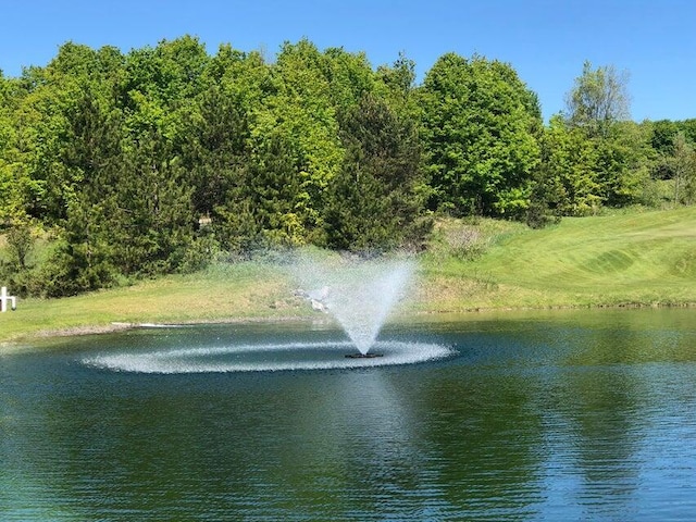 1975 Clubhouse Dr, Harbor Springs, MI 49740