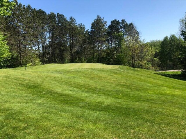 1975 Clubhouse Dr, Harbor Springs, MI 49740