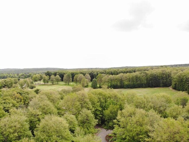 1975 Clubhouse Dr, Harbor Springs, MI 49740
