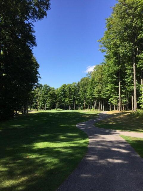 1975 Clubhouse Dr, Harbor Springs, MI 49740