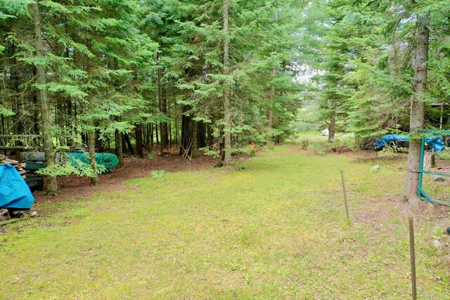 239 Ausable River Trl, Roscommon, MI 48653 - photo 41