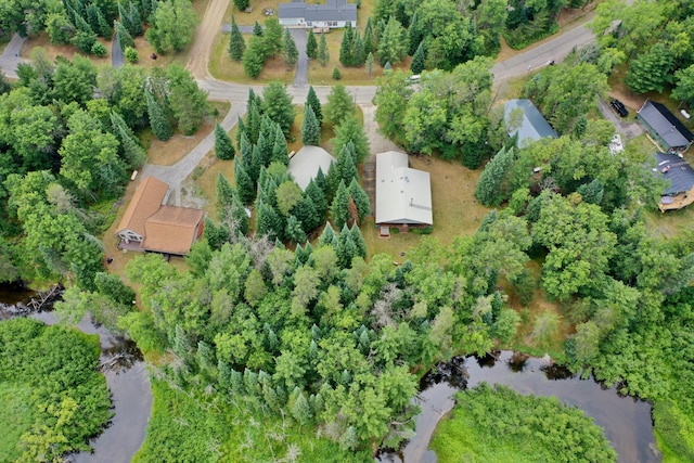 239 Ausable River Trl, Roscommon, MI 48653 - photo 47