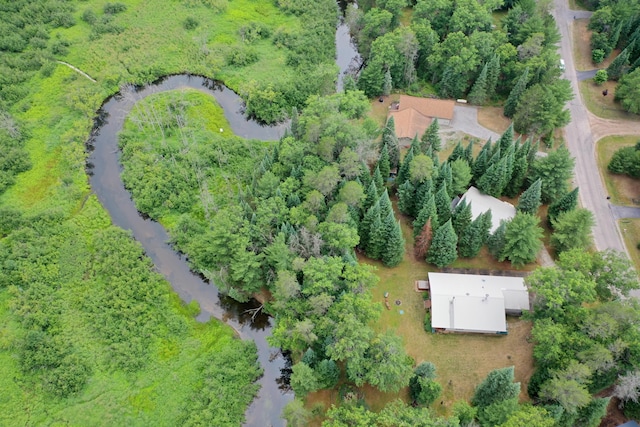 239 Ausable River Trl, Roscommon, MI 48653 - photo 48
