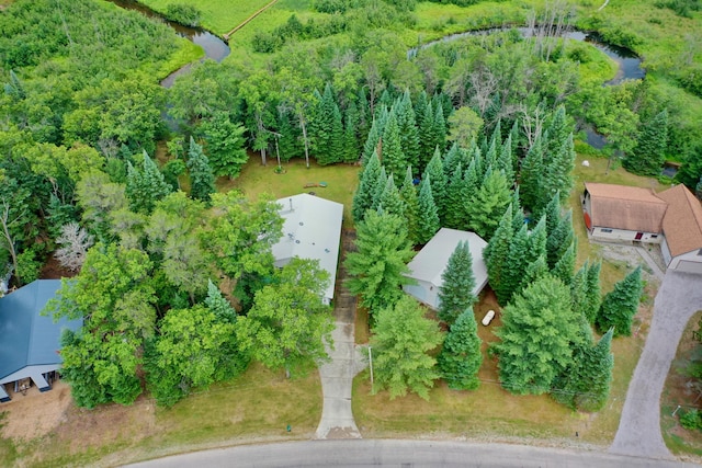 239 Ausable River Trl, Roscommon, MI 48653 - photo 49