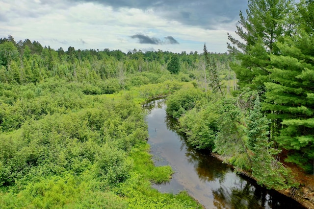 239 Ausable River Trl, Roscommon, MI 48653 - photo 51