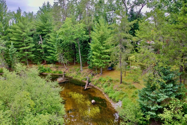 239 Ausable River Trl, Roscommon, MI 48653 - photo 52