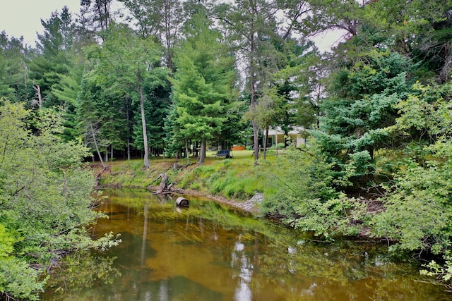 239 Ausable River Trl, Roscommon, MI 48653 - photo 53
