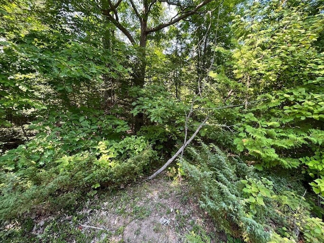 NHN Renwick Cir, Presque Isle, MI 49777