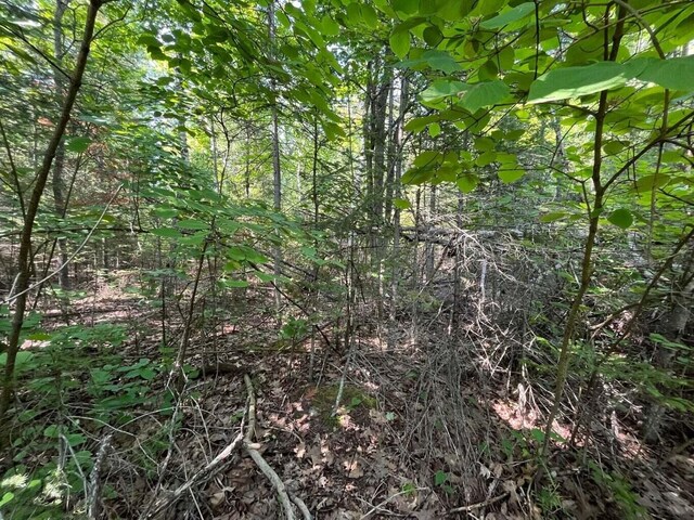 NHN Renwick Cir, Presque Isle, MI 49777