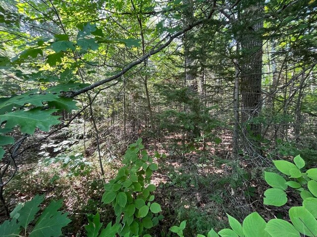 NHN Renwick Cir, Presque Isle, MI 49777