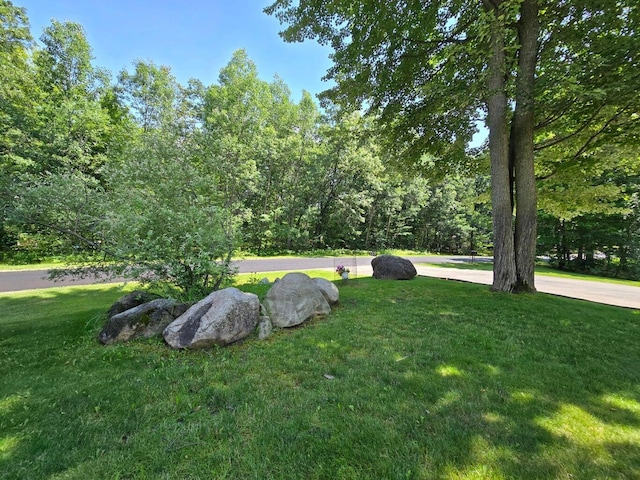 107 Pepperell Ave, Houghton Lake, MI 48629 - photo 44