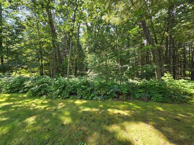 107 Pepperell Ave, Houghton Lake, MI 48629 - photo 50