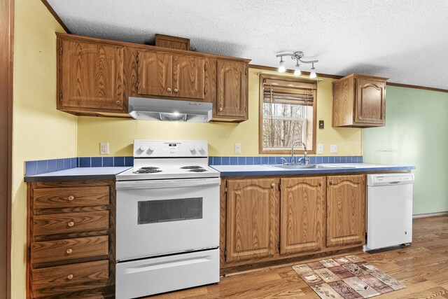kitchen with under cabinet range hood, a textured ceiling, a sink, and white appliances