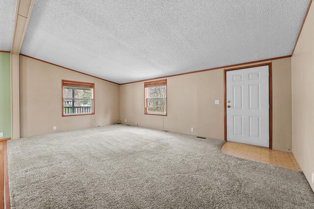 carpeted empty room featuring plenty of natural light, a textured ceiling, and lofted ceiling