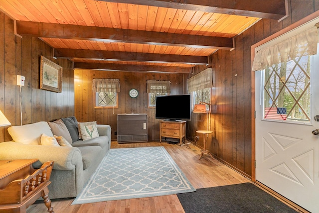 living room with wood walls, wood finished floors, a healthy amount of sunlight, and wooden ceiling