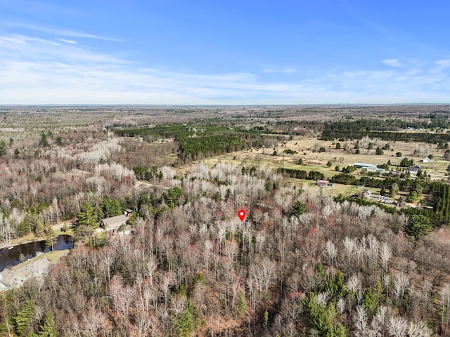 321 Greenleaf Dr, Houghton Lake, MI 48629 - drone / aerial view