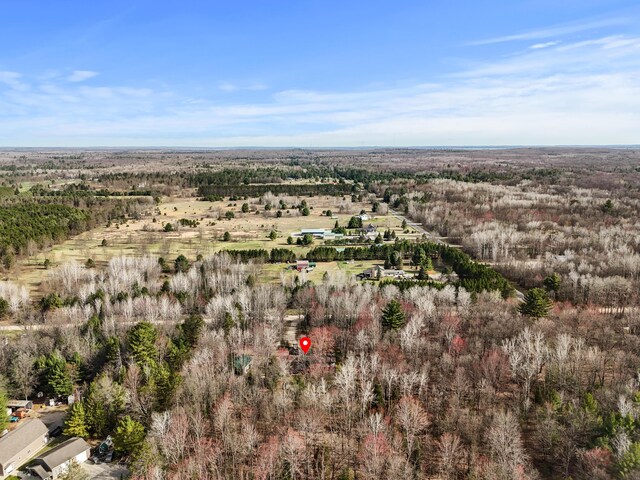 321 Greenleaf Dr, Houghton Lake, MI 48629 - drone / aerial view