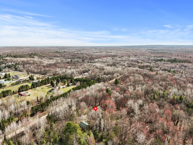 321 Greenleaf Dr, Houghton Lake, MI 48629 - drone / aerial view featuring a wooded view