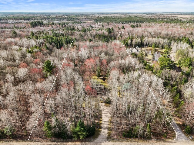 321 Greenleaf Dr, Houghton Lake, MI 48629 - birds eye view of property with a wooded view