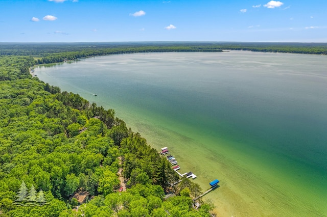 2931 Boulan Dr, Lewiston, MI 49756 - bird's eye view with a water view and a forest view