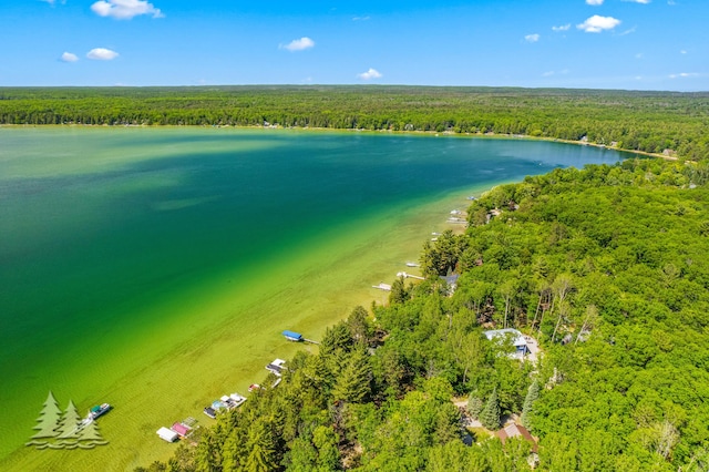 2931 Boulan Dr, Lewiston, MI 49756 - bird's eye view featuring a water view and a forest view