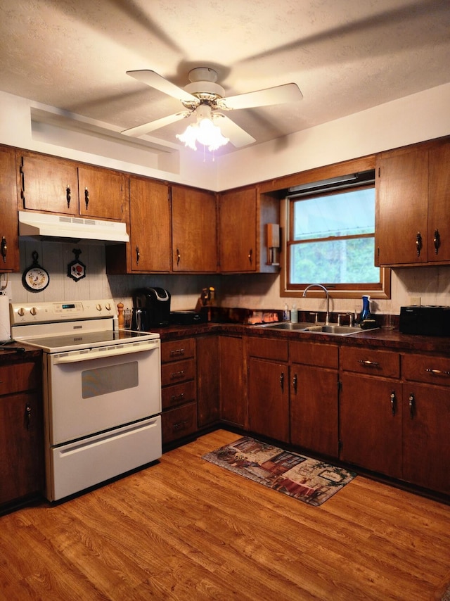 kitchen featuring white electric range oven, wood finished floors, a sink, dark countertops, and under cabinet range hood