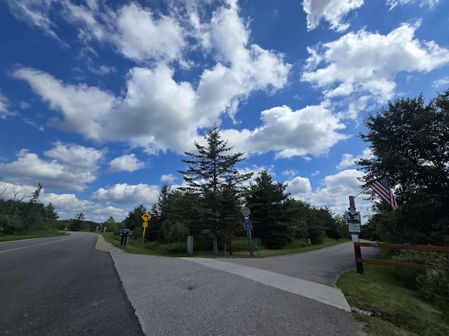 OFF Mccollum Lake Rd, Curran, MI 48728 - photo 20