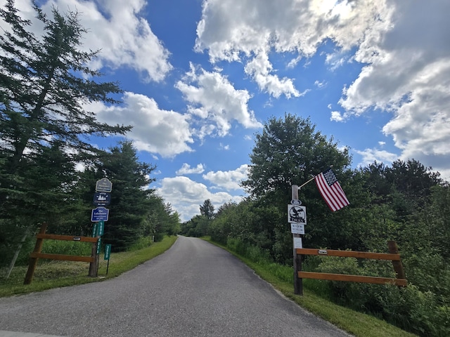 OFF Mccollum Lake Rd, Curran, MI 48728 - photo 3