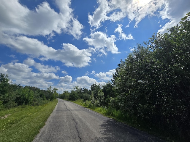 OFF Mccollum Lake Rd, Curran, MI 48728 - photo 4