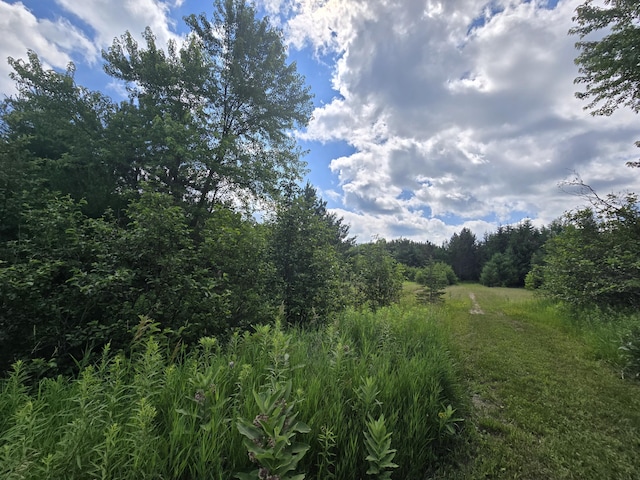 OFF Mccollum Lake Rd, Curran, MI 48728 - photo 7