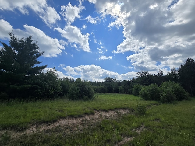 OFF Mccollum Lake Rd, Curran, MI 48728 - photo 8