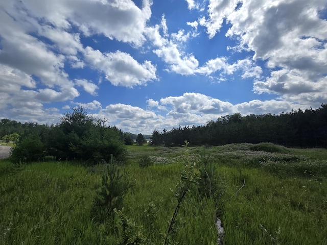 OFF Mccollum Lake Rd, Curran, MI 48728 - photo 9