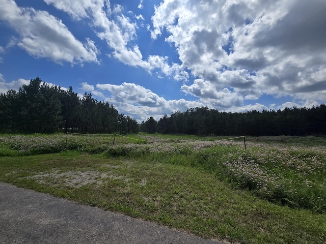 OFF Mccollum Lake Rd, Curran, MI 48728 - photo 21