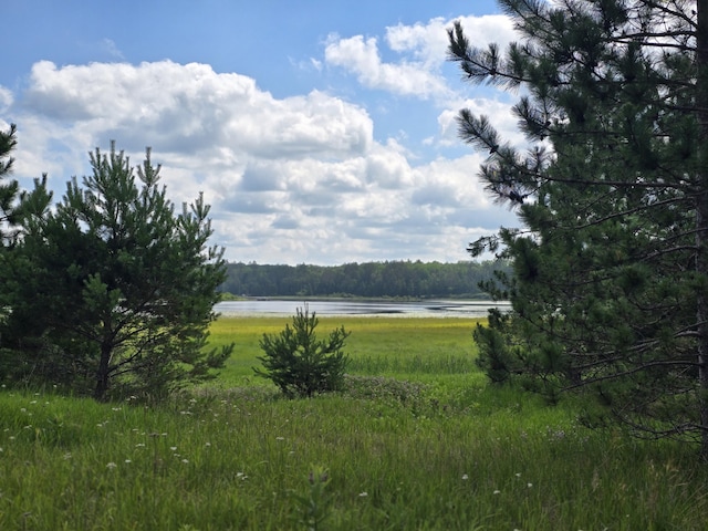OFF Mccollum Lake Rd, Curran, MI 48728 - photo 10