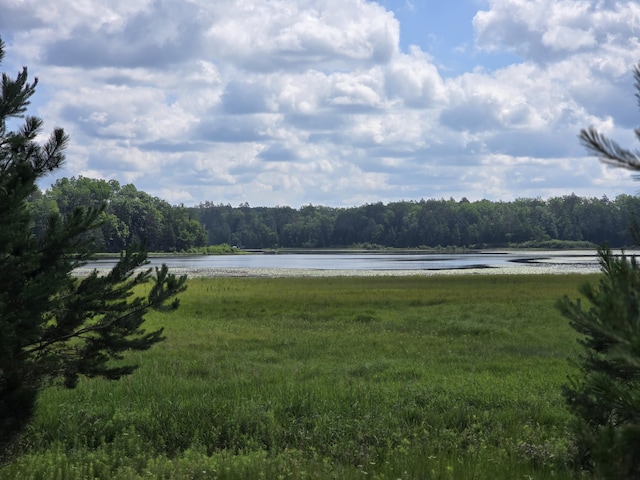 OFF Mccollum Lake Rd, Curran, MI 48728 - photo 1