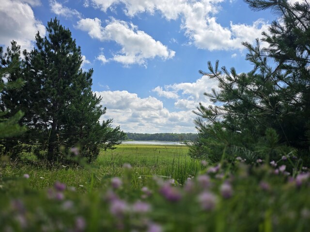 OFF Mccollum Lake Rd, Curran, MI 48728 - photo 2