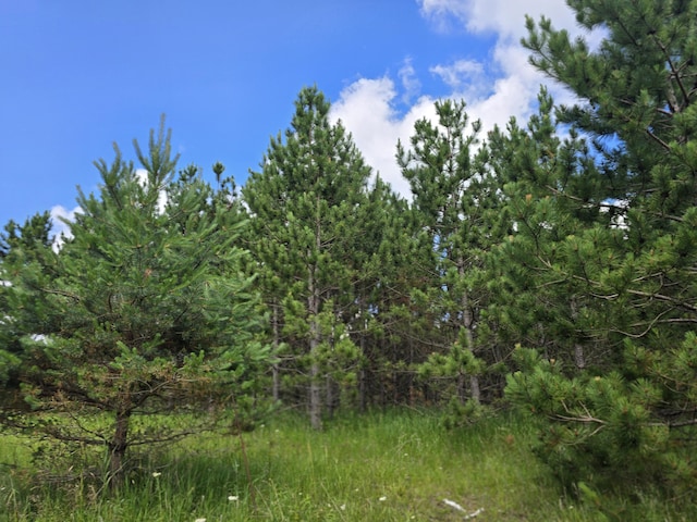 OFF Mccollum Lake Rd, Curran, MI 48728 - photo 12