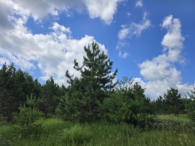 OFF Mccollum Lake Rd, Curran, MI 48728 - photo 13