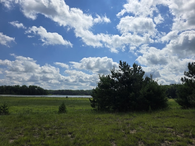 OFF Mccollum Lake Rd, Curran, MI 48728 - photo 14